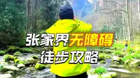 来张家界必打卡|金鞭溪封神级美景