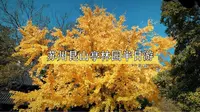 苏州昆山亭林园半日游