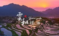 雲和梯田