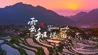雲和梯田
