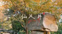 浙江普陀山仙人井