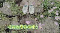 一起来玩吧！替你去逛合肥植物园！