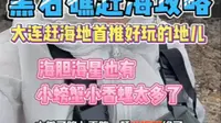 大连市内赶海地之一黑石礁攻略，有需要的伙伴多看看