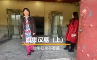 徐州归来不看墓之白集汉墓