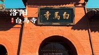 [杜比视界] “洛阳”白马寺被誉为中国第一古刹！| 云旅游 现场音 Citywalk|