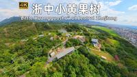 浙中小黄果树！260米高空玻璃桥+40米瀑布，永康西山值不值得冲？