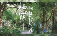 南京栖霞·陶行知纪念馆