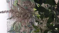 邓萍故居参观日记