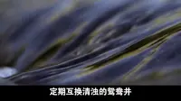 未解之谜：定期互换清浊的鸳鸯井