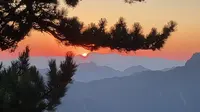 华山 引凤亭 日出