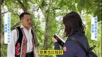 大姚三台认购一棵核桃树 核桃果子都归你_云南楚雄网