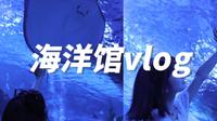 心愿vlog｜温州极地海洋馆 冲！