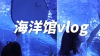 心愿vlog｜温州极地海洋馆 冲！