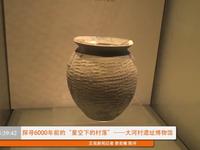 【国二】大河村遗址博物馆（河南·郑州）【云游直播回放】-溜达搬运