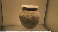 【国二】大河村遗址博物馆（河南·郑州）【云游直播回放】-溜达搬运