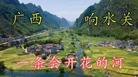 广西响水关，一条会开花的河，美得太过分了！