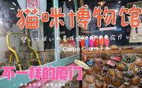 厦门顶澳仔猫街藏匿了一座猫咪博物馆，可以与猫咪零距离互动