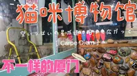 厦门顶澳仔猫街藏匿了一座猫咪博物馆，可以与猫咪零距离互动