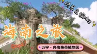 【日常生活】兴隆热带植物园·全新升级