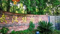 武汉植物园一日游（各种陆地植物展区、水生植物展区和昆虫乐园）