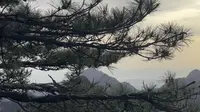 黄山风景区 始信峰 曙光亭 清凉台 暮光晨色 Book of Days