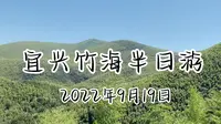 宜兴竹海半日游 | Vlog1