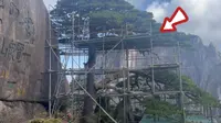 黄山上著名景点迎客松，这是怎么了？带大家实地看一下！