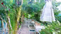 西双版纳景洪-基诺山金菩麟茶咖庄园的惬意慢时光