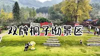中国银杏第一村”双牌桐子坳景区，国家四A级旅游胜地