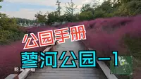 济宁蓼河公园北段
