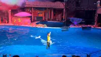 大连圣亚海洋世界海豚表演，一个王子与美人鱼的故事