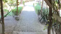 绛守居园池