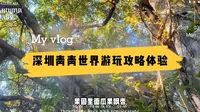 周末不知道带小朋友去哪里玩？就来深圳青青世界，小孩们玩乐天堂