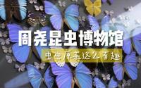 周尧昆虫博物馆，虫虫原来这么有趣！