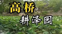 宁波话vlog | 耕泽石刻博物馆