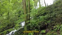 青城后山水晶溶洞探秘（上）