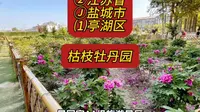 （枯枝牡丹园）②江苏省Ⓙ盐城市⑴亭湖区游玩景点分享