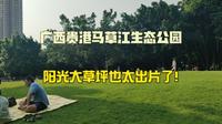 广西贵港马草江生态公园，空气清新，绿树成荫，阳光大草坪很出片