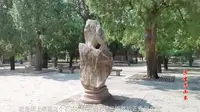 探访泰山岱庙天贶殿，墙上的壁画气势宏大，乃上乘之作