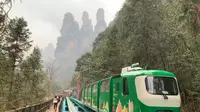 张家界国家森林公园十里画廊，可坐小火车看风景，还可以看到美猴王。
