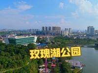 梧州玫瑰湖公园航拍，又是阳光明媚的一天