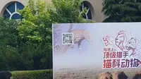 大连黑石礁游玩攻略(上)