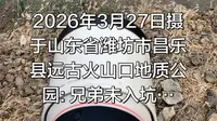2026年3月27日摄于山东省潍坊市昌乐县远古火山口地质公园: 兄弟未入坑…