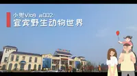 宜宾野生动物世界