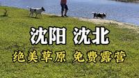 没想到不用出沈阳还有这么好看的免费露营地 具体位置就在沈北七星湖草原！#沈阳免费露营位置 #沈北七星湿地露营 #沈阳沈北大草原露营