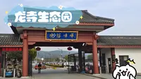 无锡 龙寺生态园 梅花季