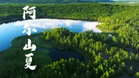 阿尔山夏-内蒙古兴安盟阿尔山的初夏