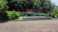 丽水遂昌金矿