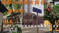 成都小众烟火街巷-柿子巷，这里深藏有民国大宅，还有百年银杏树下的咖啡店