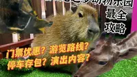 这份7分钟的沈阳大东龙之梦动物乐园全网最全攻略你手下，别撕吧了，给孩子的！